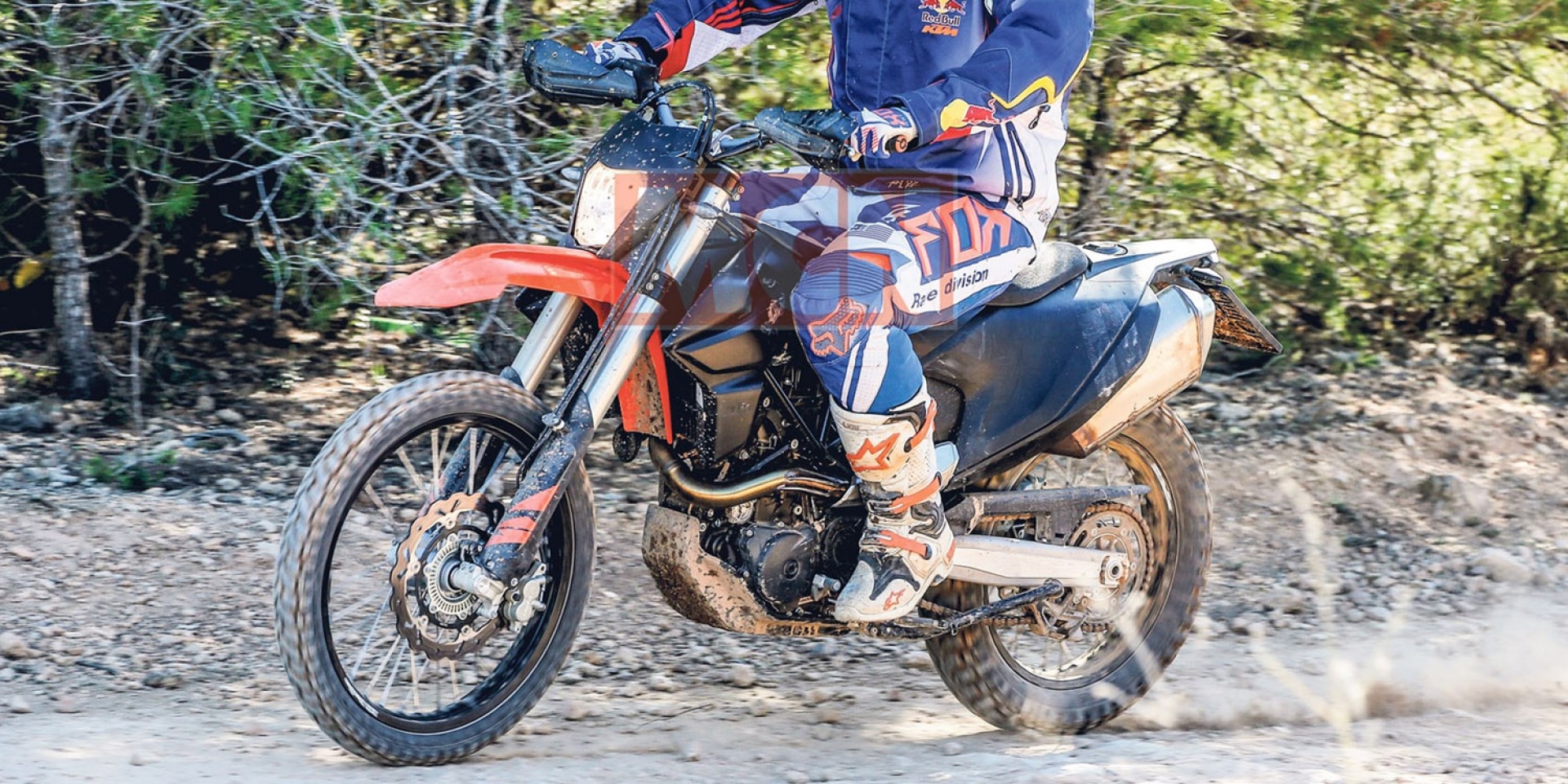 兄弟鬩牆。KTM  690 Enduro／Supermoto林間捕獲