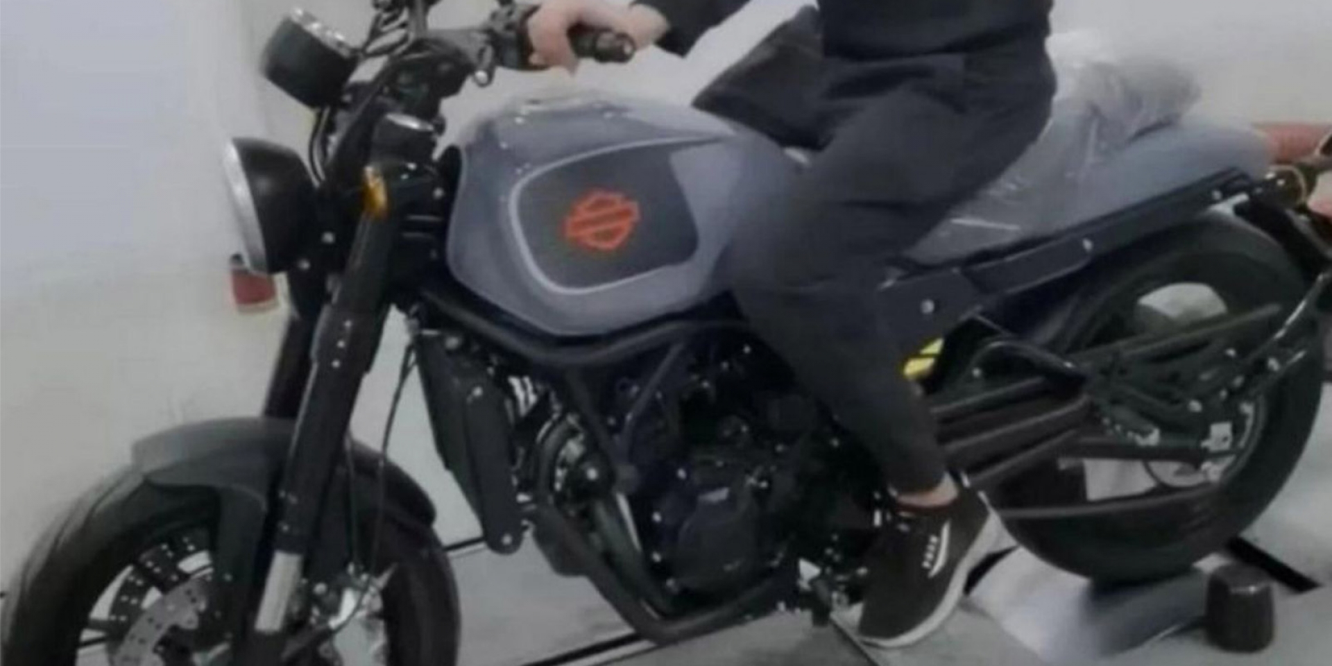 幼獅變哈雷？Harley-Davidson 500雙缸平價車間諜照曝光