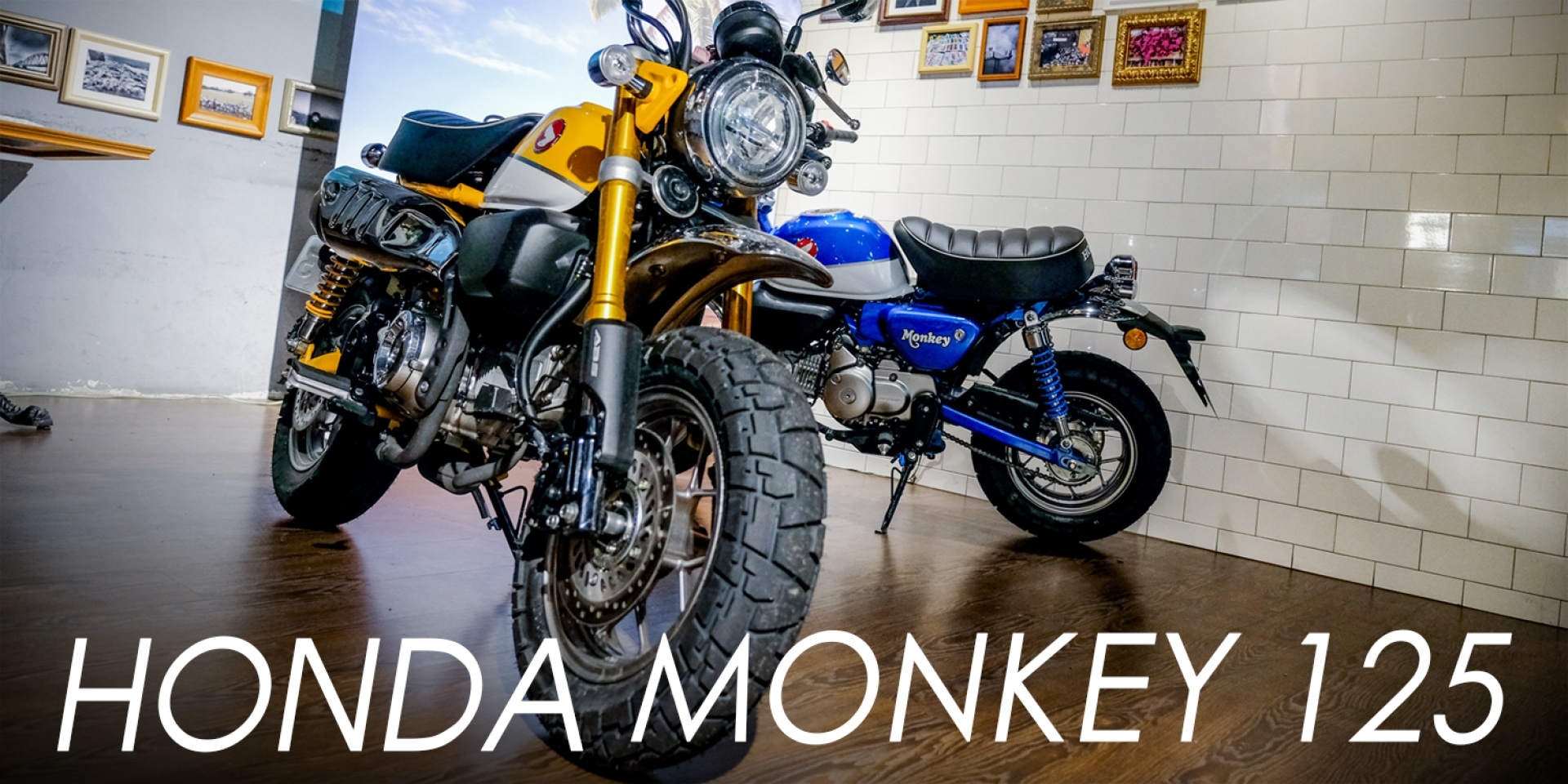 吸睛度破表！與眾不同可愛新焦點，HONDA MONKEY 125試駕體驗