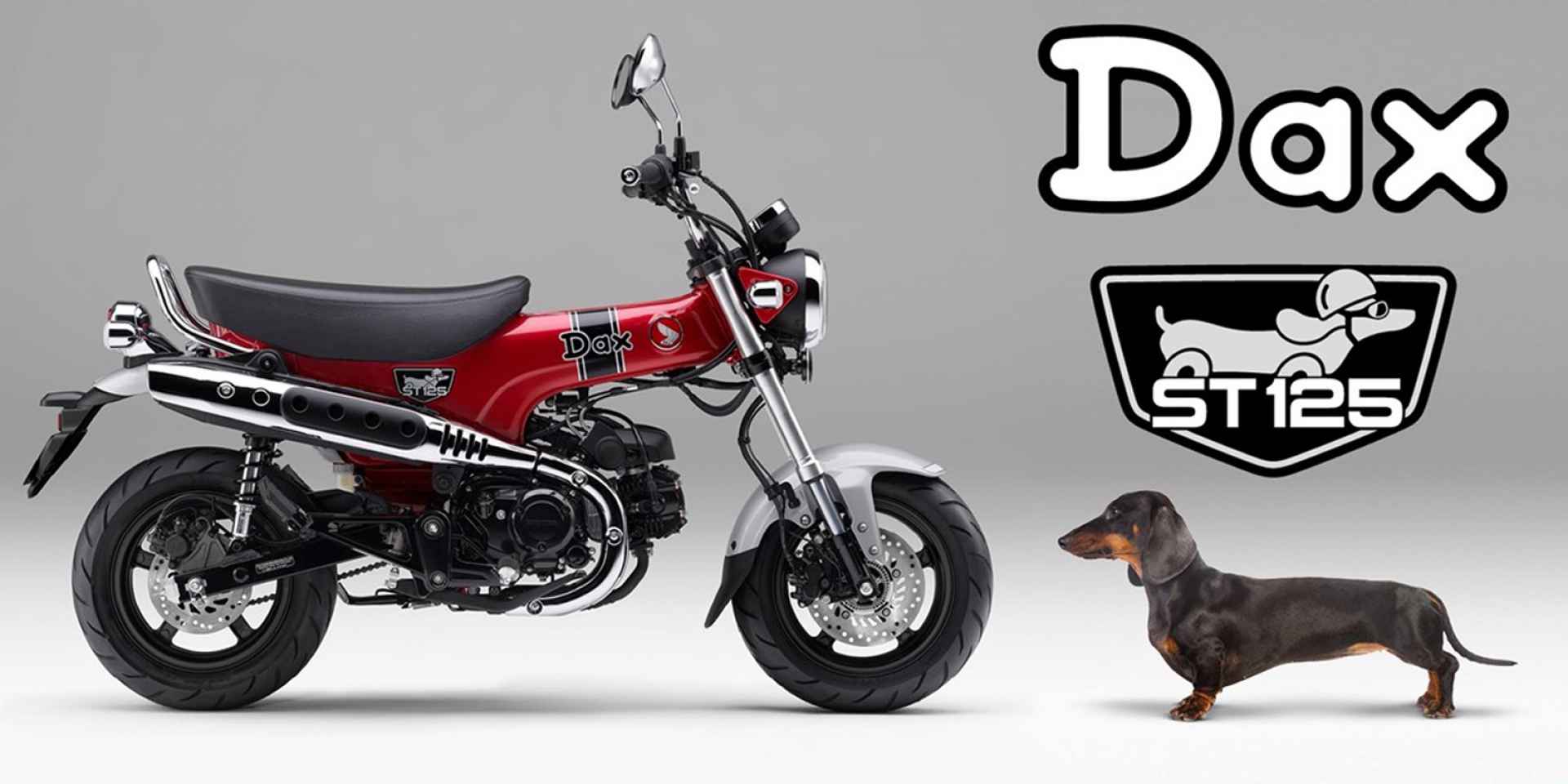 臘腸狗44萬日幣發售！HONDA DAX 125 7月日本上市