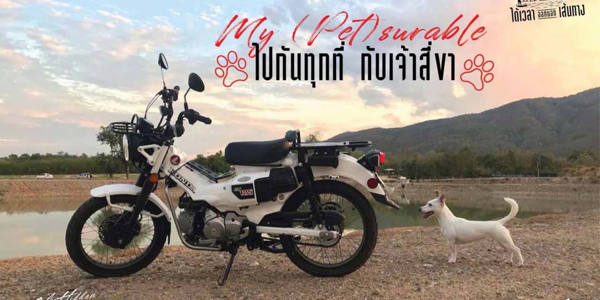 白色獵狼現身！泰國Cub House貼出HONDA CT125 全白塗裝新色